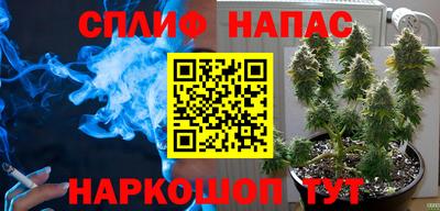тгк Малгобек