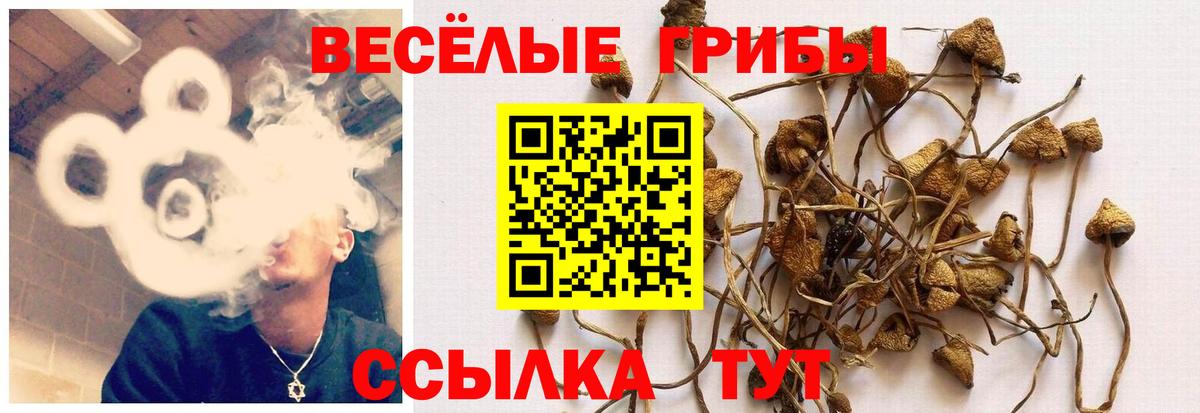 Галлюциногенные грибы мухоморы  Вход с VPN  Псилоцибиновые грибы мицелий  Усинск 